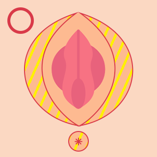 大陰唇周辺・肛門周り